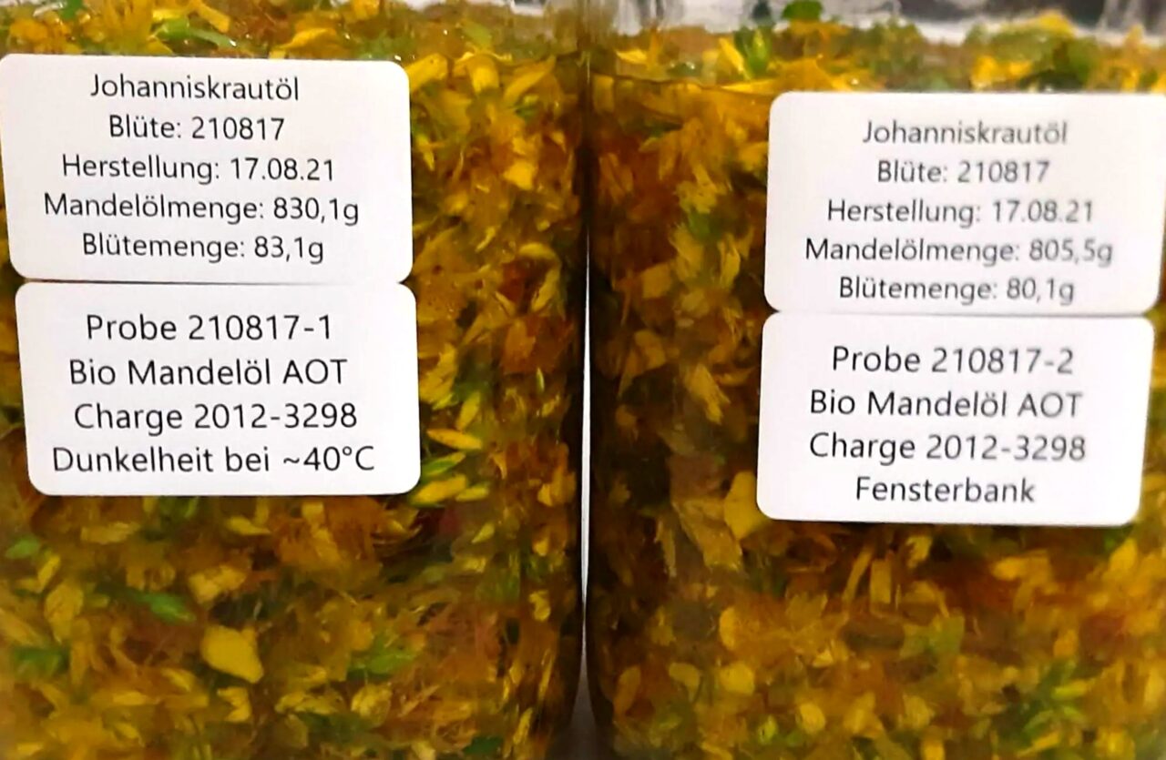 Die Herstellung von Johanniskrautöl (Oleum Hyperici)